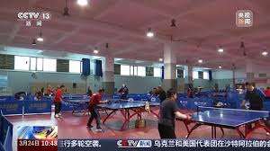 2026年世界杯官网 乒乓球台绿色好还是蓝色好